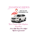 Flamingo Rides