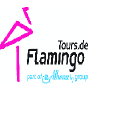 flamingotours.de