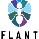 Company logo Flant