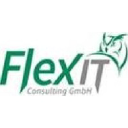 flexit-consulting.de