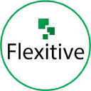 flexitive.com logo icon