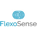 flexosense.com