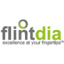 flintdia.com