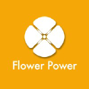 flower-power.com