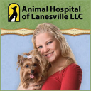 Animal Hospital of Lanesville