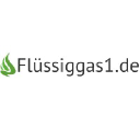 fluessiggas1.de