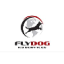 flydogturkey.com