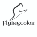 flyingcolor.in