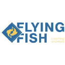 flyingfish.fr