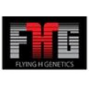 flyinghgenetics.com