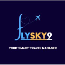 Flysky9