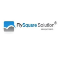 flysquaresolution.com