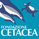 fondazionecetacea.org