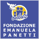 fondazioneemanuelapanetti.org