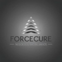 forcecure.com.br