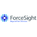 forcesight.in