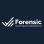 Forensic Accounting & Consulting Services logo