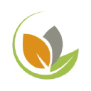globalforestgeneration.org