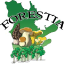 forestia.net