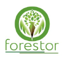 forestor.fr