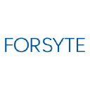 forsyte.consulting