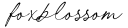 foxblossom.com