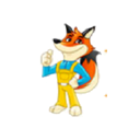 Fox Window & Gutter Cleaning