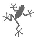 frog-ventures.com