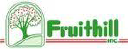 fruithillinc.com