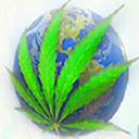 Fruit of the Earth Organics Logo