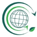 Company logo for fsmri.global