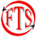 ftsconsulting.com