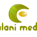 fulanimedia.com