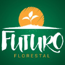 futuroflorestal.com.br