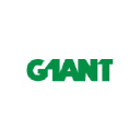 g1ant.com
