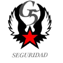 g5seguridad.es