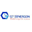 g7synergon.in