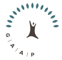 gaap.com.mx