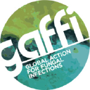 gaffi.org