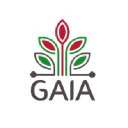 gaia-junior.com