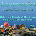 gainesvillefish.com