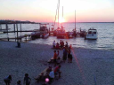 gainesvillemarina.com