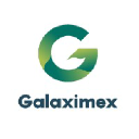 galaximex.com