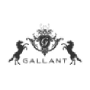 gallantdev.com