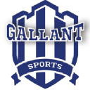 gallantsports.in
