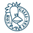 galli-net.com