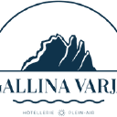 GALLINA VARJA