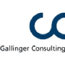 gallinger-consulting.de
