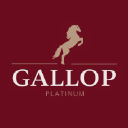 gallop-platinum.com