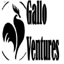 galloventures.co.za